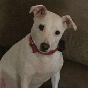 Meet your Posher, Terry